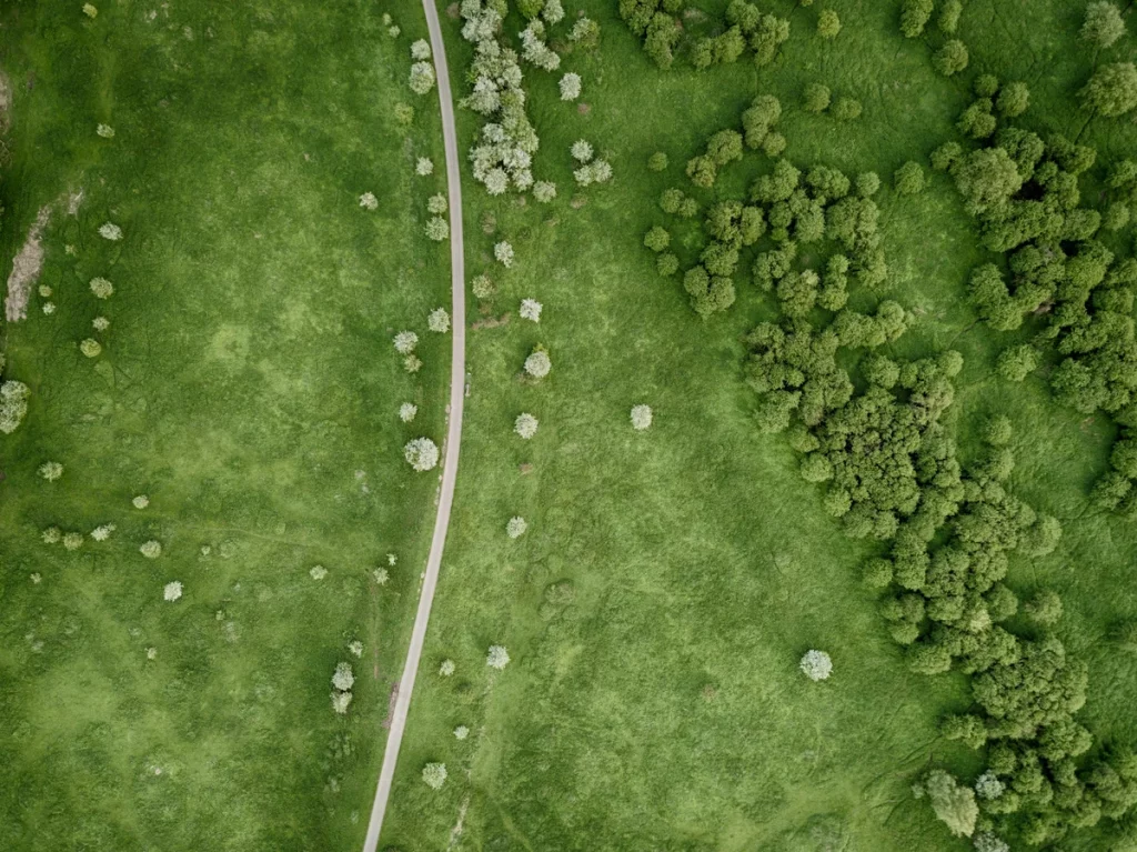 Drohnenaufnahme eines Erbbaugrundstücks mit Weg und Baumbestand