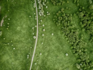 Die Grafik zeigt einen Drohnenblick auf eine grüne Landschaft mit Bäumen und einem Pfad der durch eine Wiese führt.