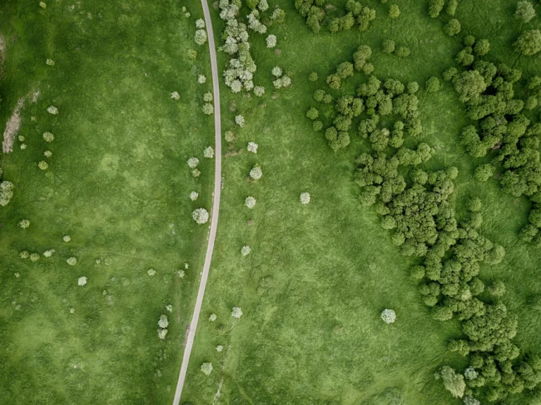 Drohnenaufnahme eines Erbbaugrundstücks mit Weg und Baumbestand